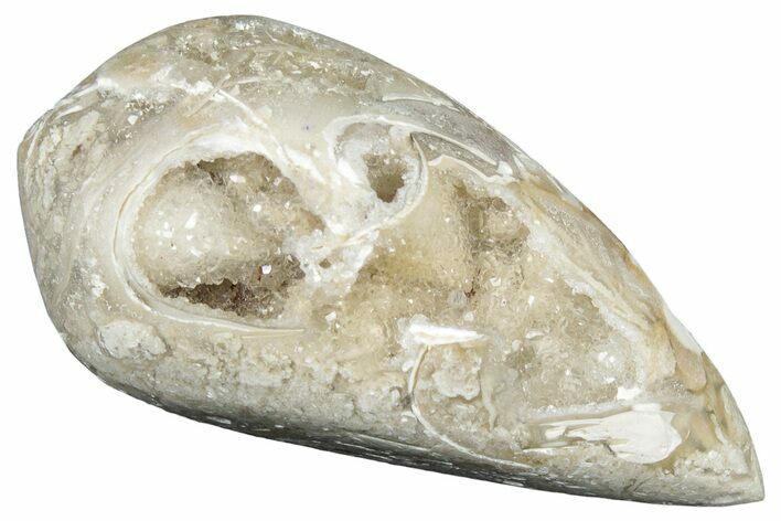 Chalcedony Replaced Gastropod With Sparkly Quartz - India #320830